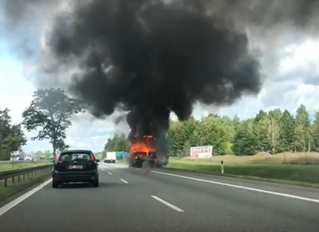 Na siódemce pod Białobrzegami zapalił się samochód dostawczy.