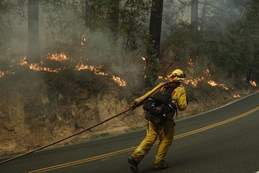 Strażacy gaszący pożar lasu w Kalifornii