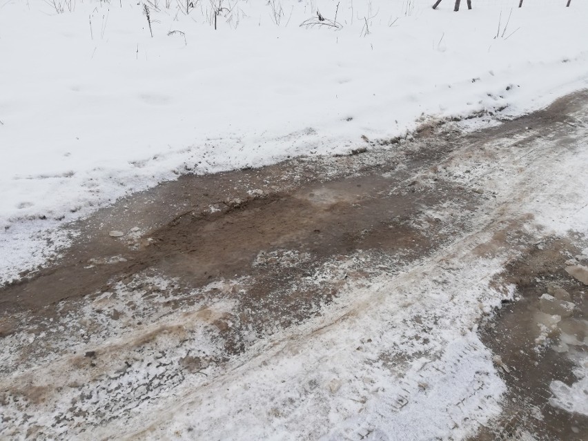 Zdjęcie drogi w Wólce Podleśnej (gm. Trzebownisko)