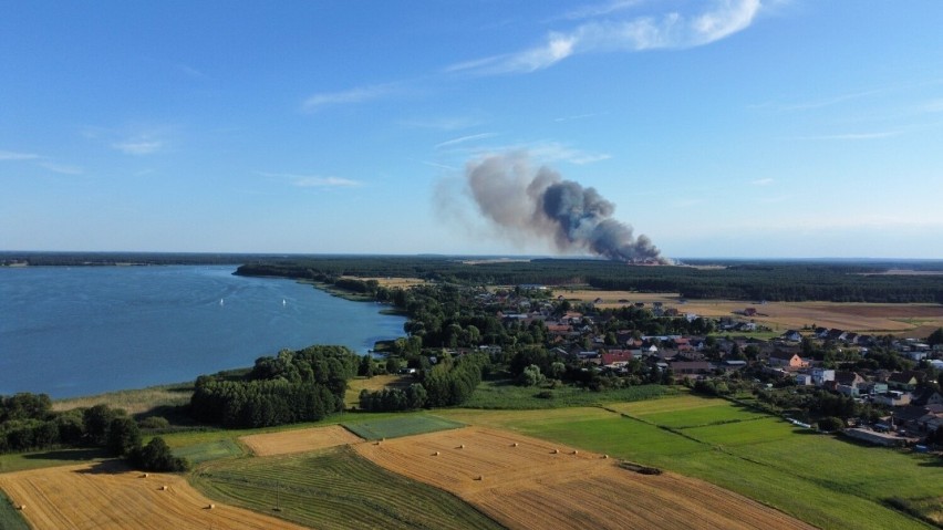 W okolicach Zbąszynia trwa ogromna akcja strażaków. W...