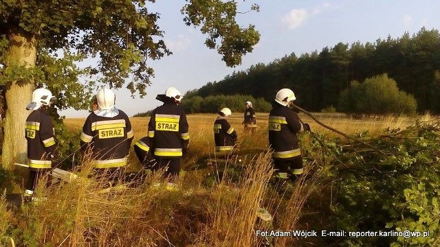 Strażacy z OSP Karlino zostali wezwani do  powalonych drzew na drodze krajowej nr 6 koło Karwina.