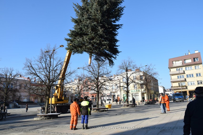 W Gorlicach zapachniało świętami. Nieco wcześniej niż zwykle, na płycie rynku stanęła choinka. Światełkami rozbłyśnie 6 grudnia