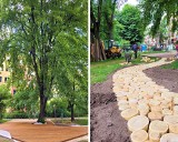 Kraków. Budują nowy park kieszonkowy na północy miasta. Będą miejsca do ćwiczeń i nietypowe ścieżki