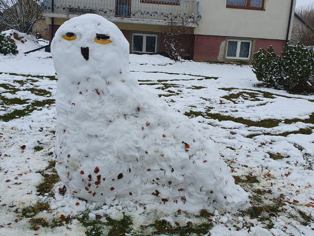 Sowa śnieżna robi wrażenie. Krakowianie ulepią kolejne zwierzęta?