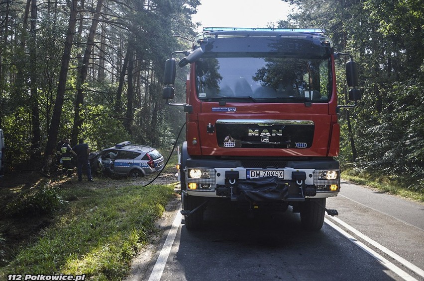 Radiowóz uderzył w drzewo. Ranną policjantkę zabrano helikopterem do szpitala (ZDJĘCIA)