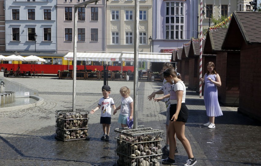 Zraszacze są wielką atrakcją dla najmłodszych, ale nie tylko...