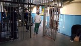 Więźniowie z Zakładu Karnego nr 1 w Strzelcach Opolskich pozwali gminę za... smog nad spacerniakiem