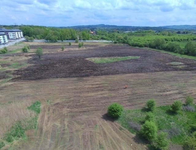 Rejon Klinów, gdzie radni planują użytek, a deweloper budowę bloków