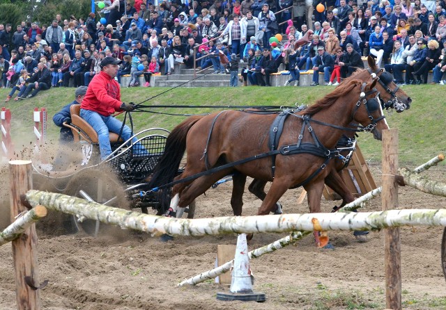 W pierwszej edycji Kujawsko-Mazursko_Mazowieckiej Lidze Zaprzęgowej najlepszymi okazali się : I miejsce Mariusz Pęcherzewski z Wojciechem Pęcherzewskim, konie Bazyl i Blanko ze stajni Brzeziny k. Uniejowa, II miejsce Daniel Chaberski z Wojciechem Chaberski, konie Salwa i Sziwa ze stajni Skurpie oraz III miejsce Katarzyna Nazarewicz z Arturem Krawczykiem, konie Lukas i Świstek ze stajni Piastowo. Gratulujemy.