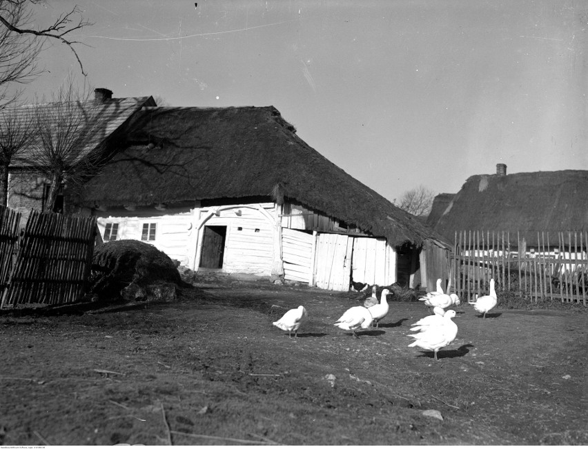 Takich Bronowic już nie ma, zobacz historyczne zdjęcia [ZDJĘCIA]