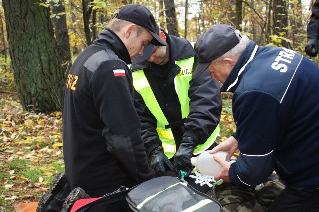 Strzeleccy policjanci poszukiwali chorego na cukrzycę mężczyznę, który wyszedł z domu na grzyby i potrzebował błyskawicznej pomocy. W akcji poszukiwawczej uczestniczyli mundurowi z policji, straży pożarnej oraz straży leśnej. Tym razem były to scenariusz ćwiczeń z jakim zmierzyły się strzeleckie służby.- W tej chwili znajduję się na grzybach w lesie niedaleko Dobiegniewa, ale bardzo źle się czuję, jestem cukrzykiem dlatego proszę was o pomoc. Na grzyby przyjechałem samochodem. Do lasu wjechałem od strony Akacjowej… - po czym rozmowa zostaje przerwana. Taki telefon odebrał dyżurny strzeleckiej komendy we wtorek, 7 listopada. Sytuacja była bardzo poważna. Ze zgłoszenia wynikało, że mężczyzna potrzebuje pilnej pomocy jednak informacji o jego lokalizacji było niewiele. Dyżurny na miejsce wysłał funkcjonariuszy. Policjanci znaleźli pozostawiony samochód niedaleko lasu w okolicy ul. Akacjowej w Dobiegniewie. Z ustaleń Dyżurnego wynikało że pojazd należy do 77-letniego Jana S., mieszkańca Strzelcach Krajeńskich. Informacja o zaginionym mężczyźnie trafiła do szefa strzeleckich policjantów mł. insp. Tomasza Zgirskiego, który powołał w tej sprawie sztab. Ten przejął dowodzenie na miejscu pozostając w stałym kontakcie z dyżurnym policji. Zarządzony został alarm dla całej komendy. W poszukiwania włączyli się również strażacy ochotnicy z Dobiegniewa oraz służby leśne. Wyznaczony został teren, na którym mógł znajdować się mężczyzna. Po wcześniejszym wytypowaniu obszaru, rozpoczęło się przeczesywanie lasu. Teren był trudny, gęste zarośla wymagały dokładnego sprawdzenia. W końcu po kilkudziesięciu minutach od zgłoszenia służby odnalazły mężczyznę, który siedział oparty o jedno z drzew. 77-latek był przytomny jednak bardzo osłabiony. Był to wynik najprawdopodobniej hipoglikemii. Mundurowi przenieśli odnalezionego mężczyznę na jedną z dróg leśnych, gdzie udzielili pierwszej pomocy. Tym razem był to scenariusz ćwiczeń z jakim zmierzyły się strzeleckie służby, jednak bardzo prawdopodobny. Kiedy dochodzi do zaginięć osób, w większości przypadków są one schorowane i potrzebują natychmiastowej pomocy. Funkcjonariusze policji, straży pożarnej oraz straży leśnej ćwiczą, aby szybko i skutecznie nieść pomoc w takich sytuacjach. Ćwiczeniom z bliska przyglądał się komendant powiatowy policji w Strzelcach Krajeńskich mł. insp. Tomasz Zgirski i jego zastępca kom. Marcin Gabara.Przeczytaj również: Samochód płonął jak pochodnia [ZDJĘCIA]Magazyn Informacyjny w GL TV