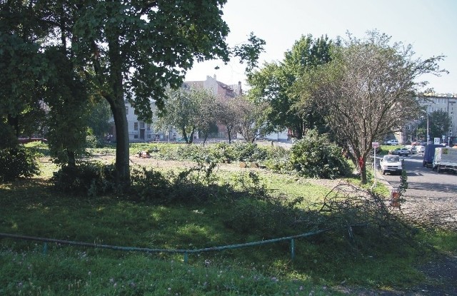 Dzisiaj rano robotnicy przystąpili do wycinki drzew i zieleni na pl. Św. Floriana w Przemyślu.