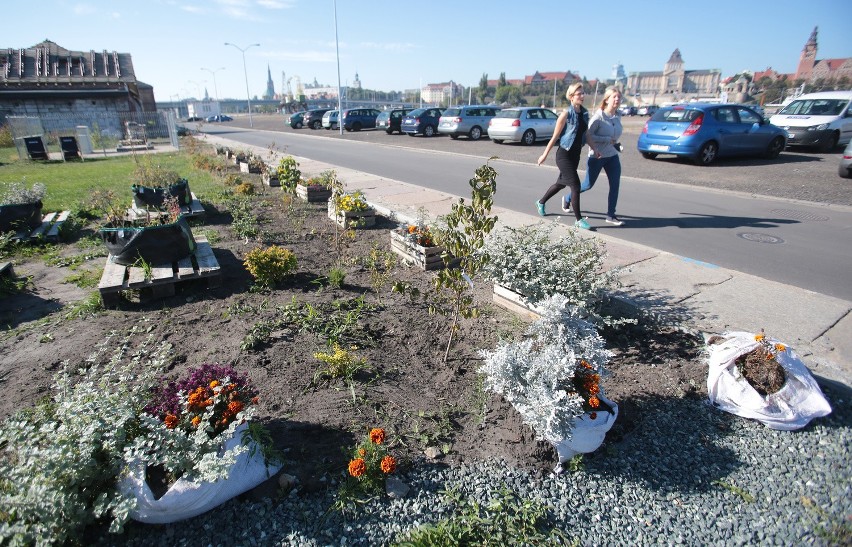 Koniec z ogrodem społecznym na Łasztowni. Do zobaczenia za rok!