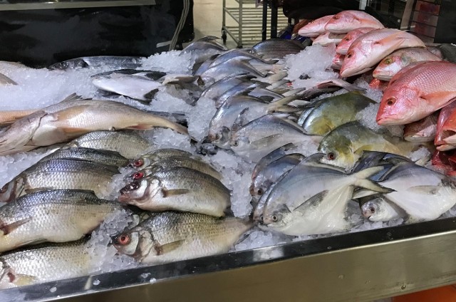 Ryby mrożone i konserwy: Zobacz, jak mogą oszukiwać producenci | Głos  Wielkopolski
