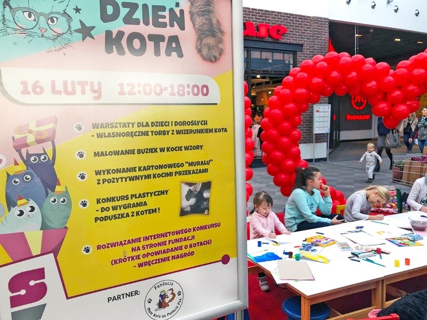 Czechowice-Dziedzice: Dzień Kota w Starej Kablowni 2019. Sporo atrakcji dla każdego ZDJĘCIA