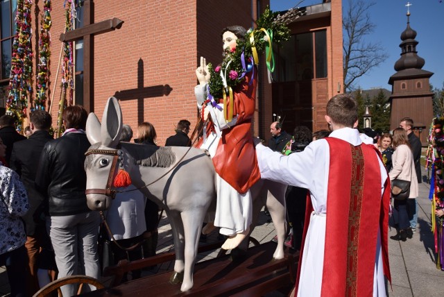 Procesja z Jezuskiem na osiołku - Niedziela Palmowa w Tokarni