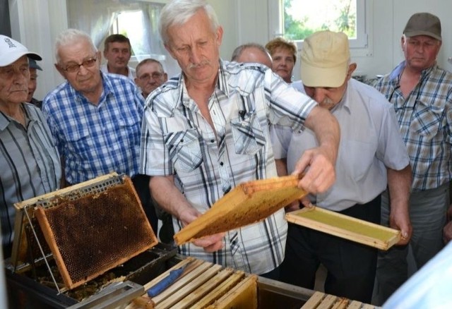 Hodowcy pszczół podpatrywali pracę przemyskich pszczelarzyKorzystając z doświadczeń przemyskich pszczelarzy, hodowcy pszczół z powiatu stalowowolskiego poznawali sposoby pozyskiwania miodu.