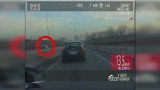 Autostradą pod prąd. 31-latka nie chciała stać w korku (video) 