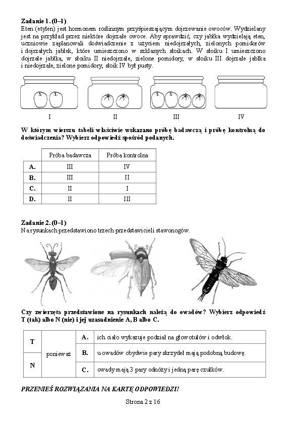 EGZAMIN GIMNAZJALNY 2015. PRZYRODA, MATEMATYKA ONLINE...