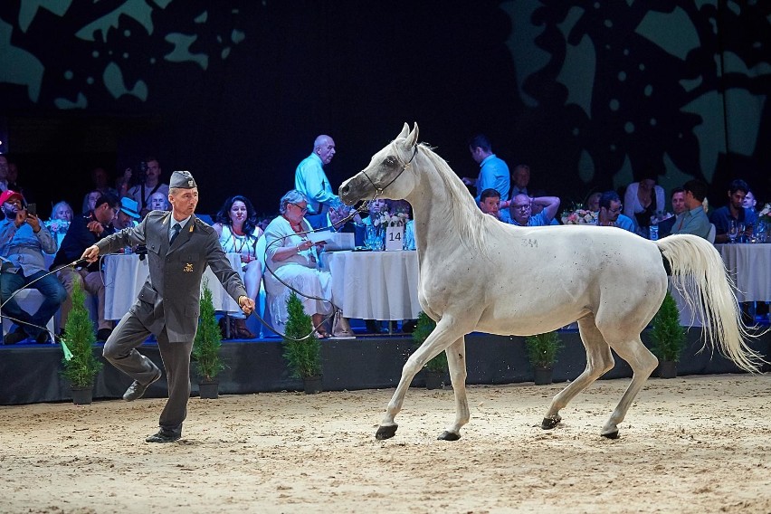 Pride of Poland 2018