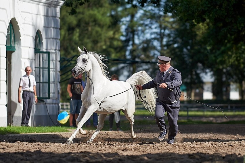 Pride of Poland 2018