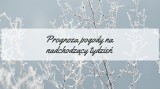 Prognoza pogody na nadchodzący tydzień. Kiedy spadnie śnieg? [10-16.12]