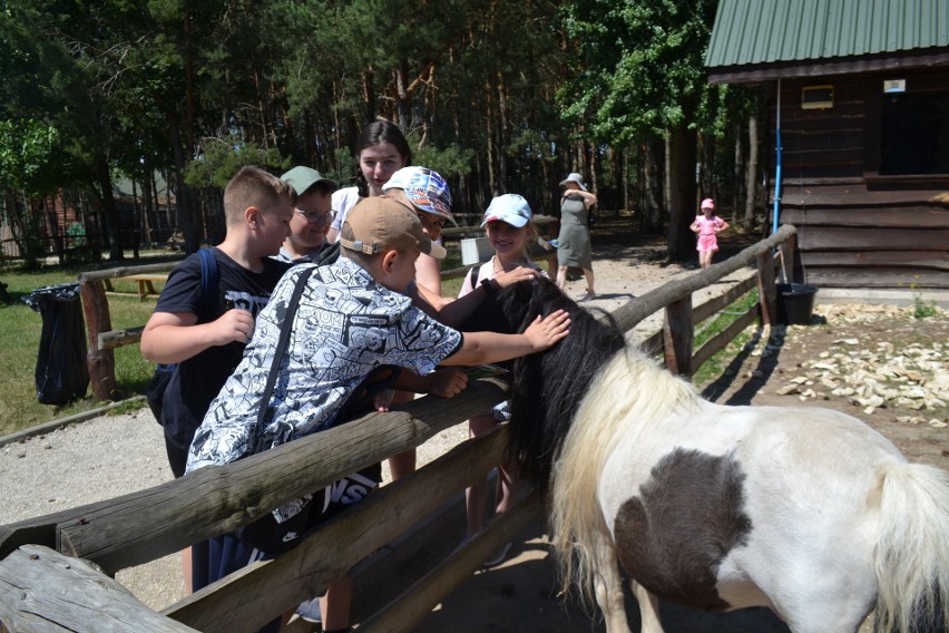 Dzieci z gminy Tuczępy rozpoczęły wakacje wycieczką do zoo. Zdjęcia