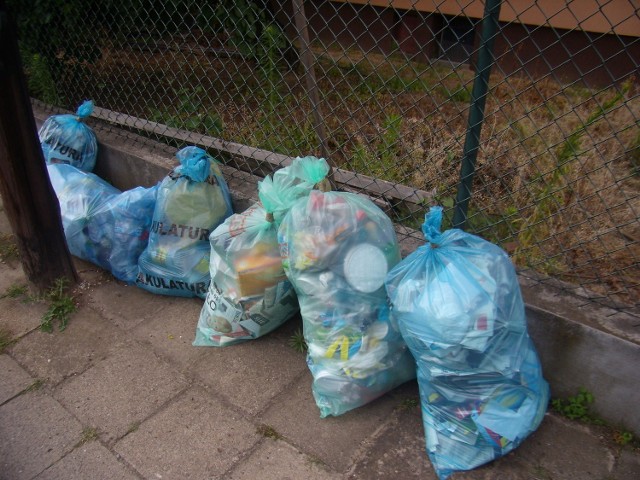 Ustawa śmieciowa: W Poznaniu brakuje pojemników do segregacji śmieci!