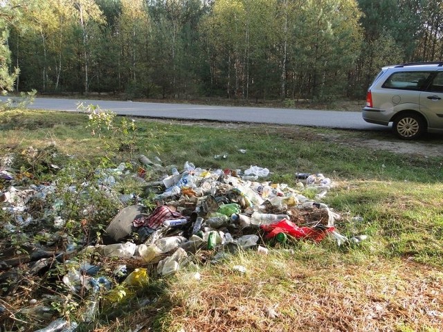Wielka sterta śmieci leży w lesie w pobliżu wsi Zawady na terenie gminy Wieniawa.