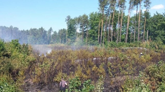 Podpalenie w Plizinie