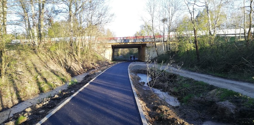 Szczecin. Powstaje trasa rowerowa w Puszczy Bukowej. Już cieszy się zainteresowaniem