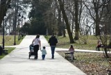 Tarnów udowadnia, że jest polskim biegunem ciepła! W Wielką Sobotę pobity został rekord temperatury w marcu. Ponad 26 kresek na termometrze!