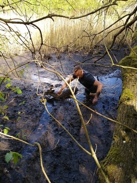 Sarna topiła się na mokradłach w pobliżu Parku Trendla w Słupsku