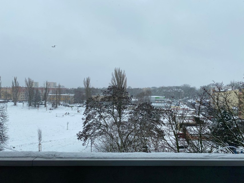 Ośnieżyło Szczecin! W tym roku święta będą białe! Zobacz, jak pięknie wygląda miasto pod białym puchem! [ZDJĘCIA]