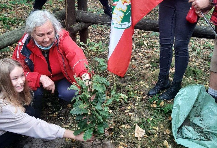 Zasadzili Drzewa Dziedzictwa Polskiego Towarzystwa Turystyczno-Krajoznawczego [ZDJĘCIA]