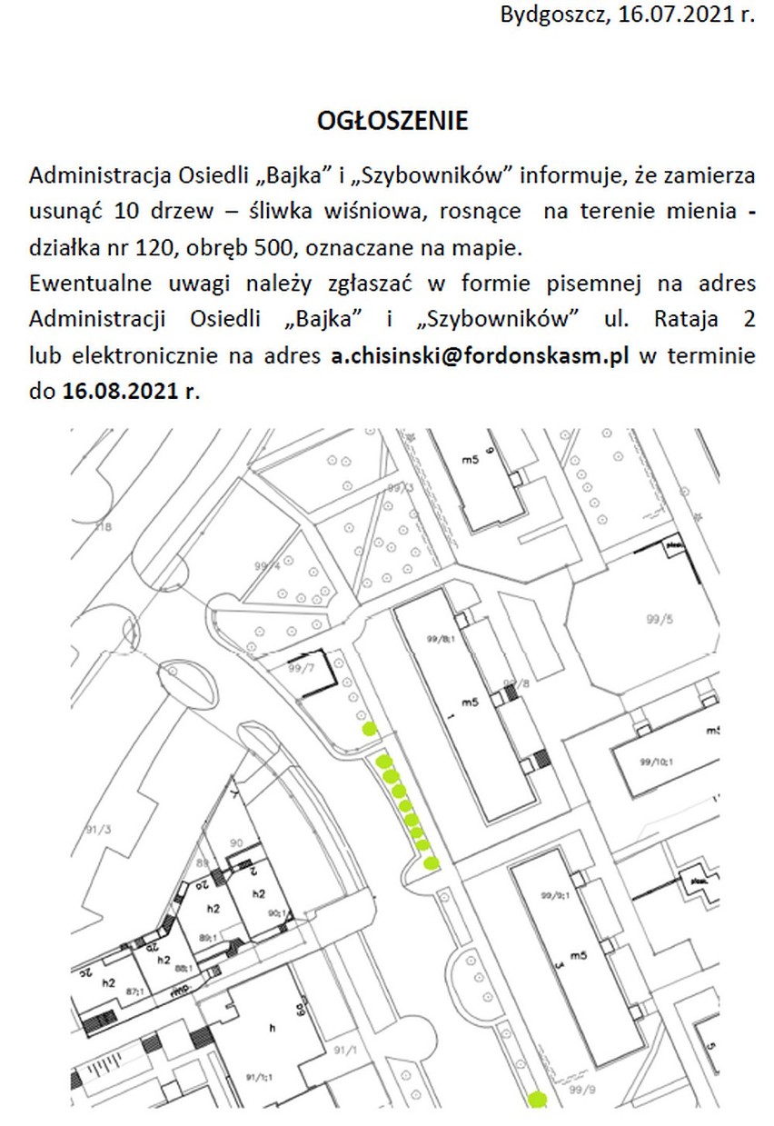 FSM będzie wycinać drzewa w Fordonie. Sprawdź, gdzie. Mieszkańcy mogą zgłaszać uwagi