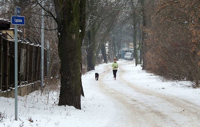 Ulica łączna dawno przestała już być drogą położoną na uboczu. Mimo wszystko nadal na taką wygląda, bez względu na porę roku...