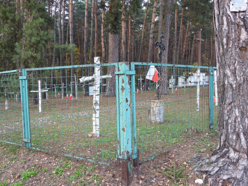 Cmentarz wojenny w Małkini Górnej 1.11.2022. Zdjęcia
