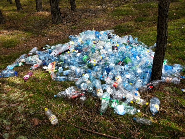 Śmieci w lesie pod Zieloną Górą.
