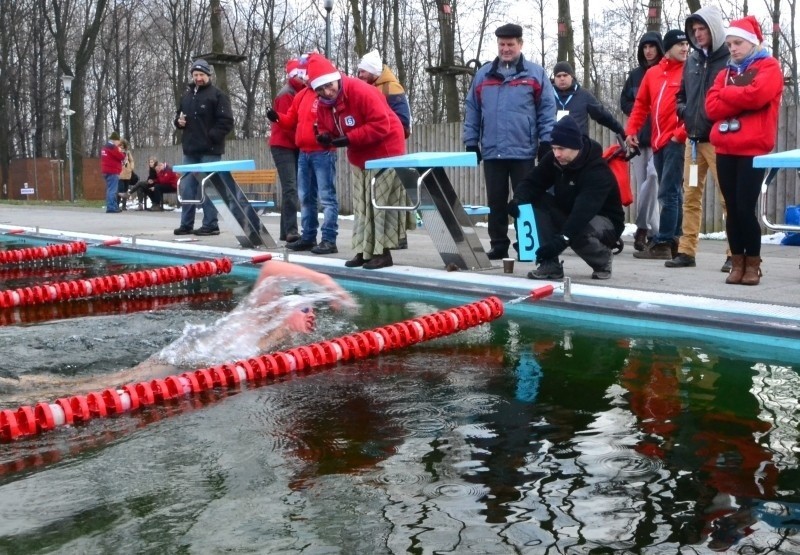 Pływali w lodowatej wodzie w Świętochłowicach