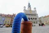Poznańskie Inwestycje Miejskie zadowolone z remontu Starego Rynku? "Docierają do nas pozytywne opinie"