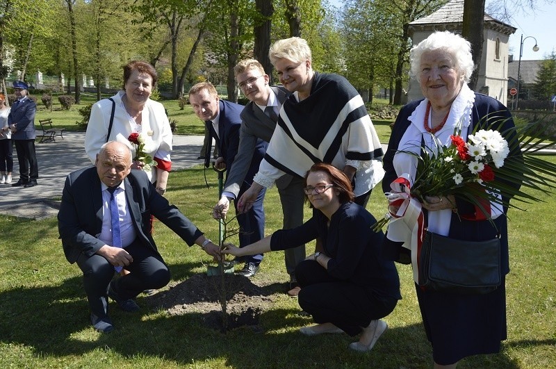 Pamięć o Władysławie Tarce przetrwała. W Pińczowie posadzono Dąb Pamięci dla porucznika [ZDJĘCIA, WIDEO]