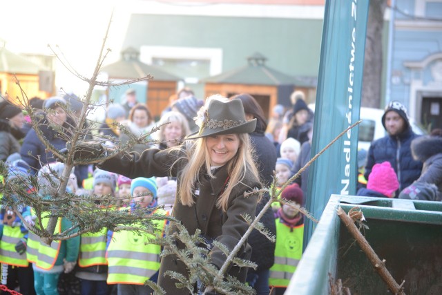 Akcja Eko Choinka organizowana będzie w Zielonej Górze już po raz trzeci