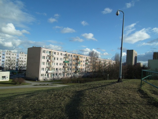 Niektórzy spółdzielcy domagają się, by właściciele czworonogów więcej płacili za użytkowanie wind w blokach, inny chcą, by zwierzęta nie biegały bez uwięzi po górce na os. Wichrowe Wzgórze.