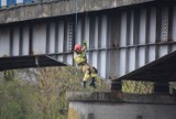 Strażacy z Międzychodu i Sierakowa ratowali... kota! Zwierzak utknął na filarze mostu nad rzeką Wartą