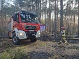 7 zastępów strażaków walczyło z ogniem w gminie Narew. Pod Gorodczynem spaliło się 3,5 hektara lasu [ZDJĘCIA]