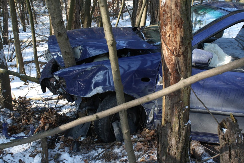 Olkuskie. Kierująca volkswagenem straciła panowanie nad autem i wjechała do lasu