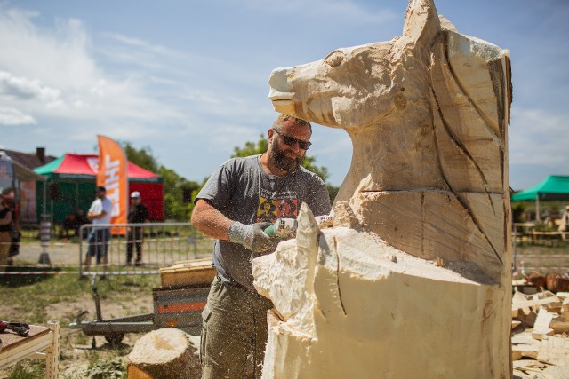 Dziś (sobota 03.06.23) w Zagrodzie Inicjatyw Twórczych w Swołowie odbył się drugi dzień pleneru rzeźbiarskiego Drewno w Kratę. W ramach pleneru zorganizowane zostały zawody speed wood carvingowe.