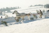 Bukowina Tatrzańska: Kumoterki zakończyły 45 Góralski Karnawał [GALERIA]