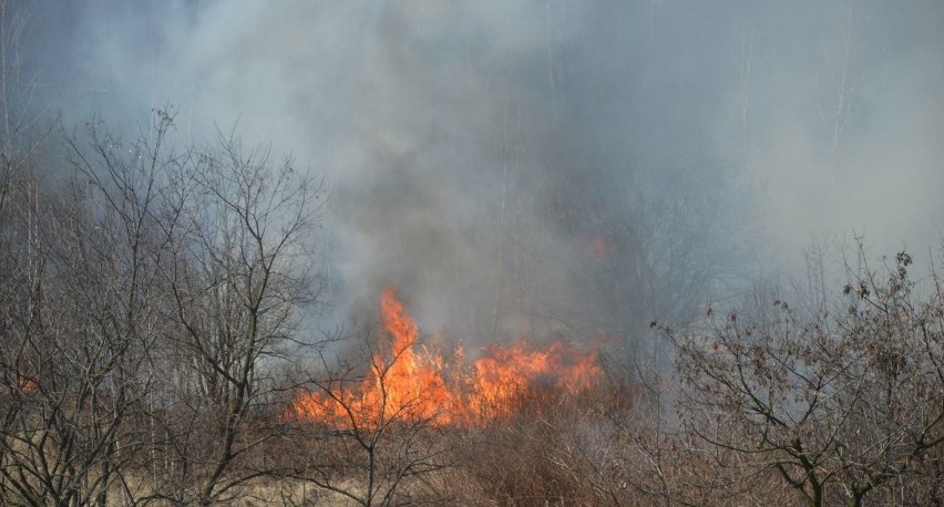 Trwa pożar trwa w Sosnowcu